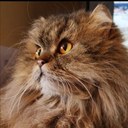 Teri Roberts - @teri_roberts - Twitter