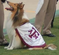 Everything Texas A&M from the scores to campus life. You can find out what's happening in College Station by following us... Thx