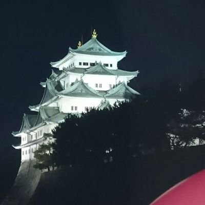 kabukabudaisuk1's profile picture. 株と将棋が好きなおじさん。
両方ともへっぽこ