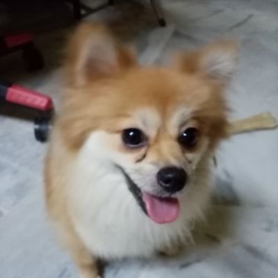 semui888's profile picture. 