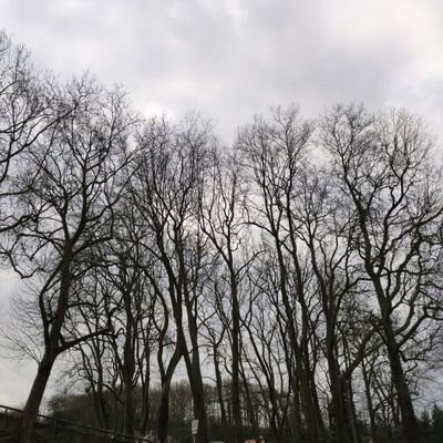 Lecteur17415347's profile picture. 