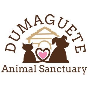 We are a small no kill shelter located in Dumaguete City Philippines. https://t.co/UiEklhTsoy