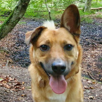 John_codes_php's profile picture. Web Developer and Co-Creator of https://t.co/WQeVkEaVo5