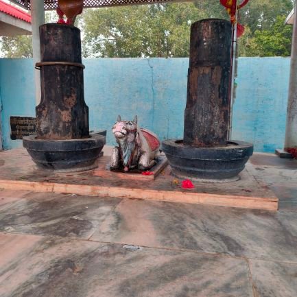 madihsax's profile picture. 18 🍀  
random stuff /:
just made of... and im looking for a content buddy ✝︎