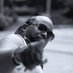 Mr.Kinyeki (@djgraz_) Twitter profile photo Mr.Kinyeki (@djgraz_) Twitter profile photo