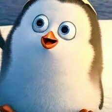 agntprvte's profile picture. Web3 airdrop hunter