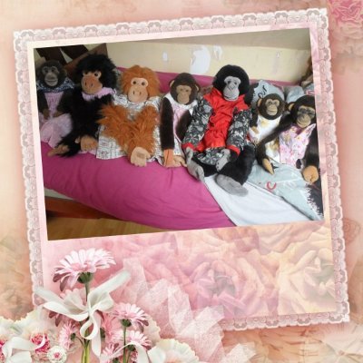 Se profil va me servir pour les aventures de Chita,Zira,Arriette,Ari,Konga,Luna.
Mes 7 guenons.🐵🙈🙉🙊🐒🦍