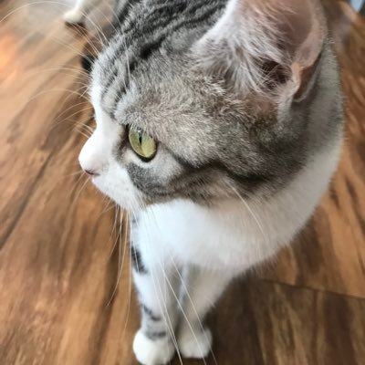 rinnahroe's profile picture. 