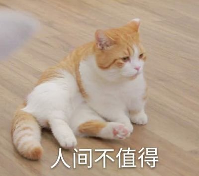 滑稽保命さんのプロフィール画像