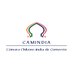 CAMINDIA, Cámara Chileno-India de Comercio (@camindiachile) Twitter profile photo