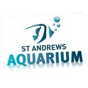 St Andrews Aquarium. the perfect day out for all the family. Visit our family of meerkats, seals, sharks, spiders, snakes, dwarf crocodiles and fish. Scotland.