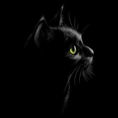 GetwellsoonKyle's profile picture. Not accountable.