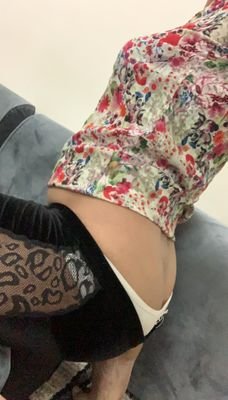 كلب العمات ونسوان الكبيره