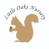 Little Oaks Nursery (@nurseryoaks) 's Twitter Profile