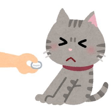 気曇ノカさんのプロフィール画像