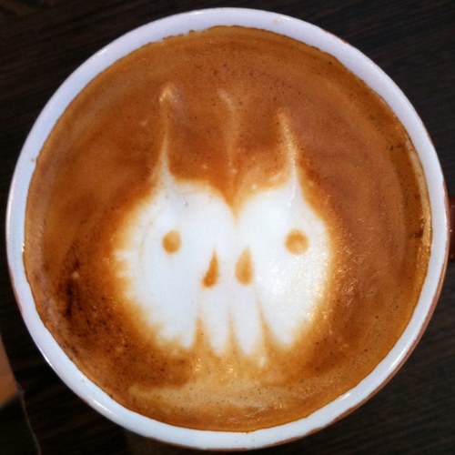 spookyespresso's profile picture. 24 Yr old, Melbourne based illustrator and designer for hire.