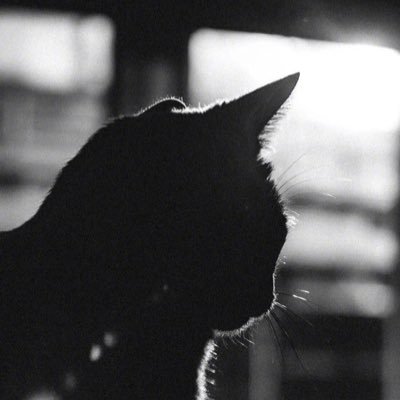 Mark11611627's profile picture. 