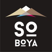 SO BOYA(@SOBOYA44) 's Twitter Profile Photo
