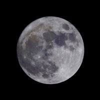 MOONShoulderGroup (@moon_shoulder) 's Twitter Profile