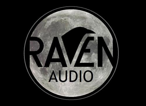 RavenAudio's profile picture. Small company in rural East Texas building high end vacuum tube amplifier systems with sound that will move you.