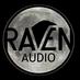 Chris Killingsworth (@ravenaudio) Twitter profile photo