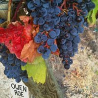 Bb (@benburb) 's Twitter Profile