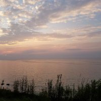 Rev (@reverreee) 's Twitter Profile