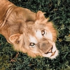 johndesigner123's profile picture. DISCLAIMER *** MY POST HAVE Nothing to do
with the messenger, Entertainer, politician etc...
TRUST ONLY IN GOD