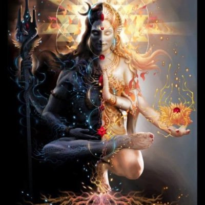 vishakhavaasi's profile picture. తెలుగదేల యన్న దేశంబు తెలుగేను దెలుగు వల్లభుండ దెలుగొకండ యెల్ల నృపులు గొలువ నెరుగవే బాసాడి దేశ భాషలందు దెలుగు లెస్స!"