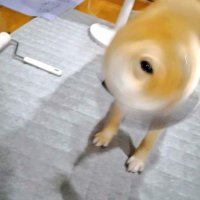 hey (@yeahyeeyee) 's Twitter Profile