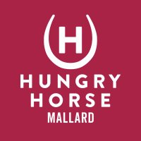 Mallard, Hungry Horse(@Mallard_HH) 's Twitter Profile Photo