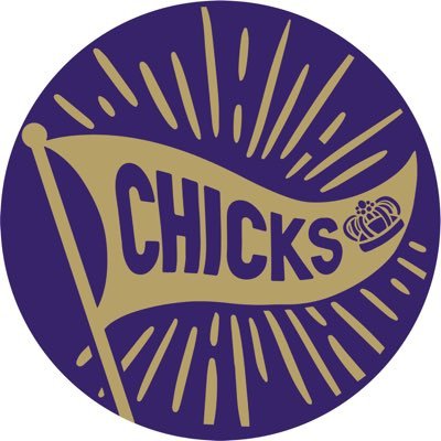 ♔ ♔ all chicks, all dukes, all the time ♔ ♔ // direct affiliate of @barstoolsports and @chicks // insta and tik tok: @jmuchicks