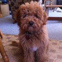 Leanne Nolan - @Nolz9 - Twitter