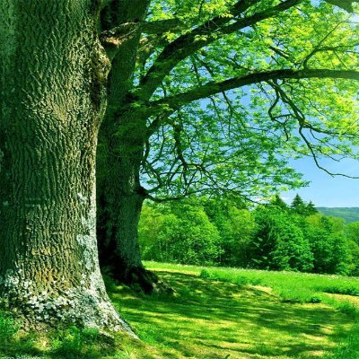 DAndrson96's profile picture. 