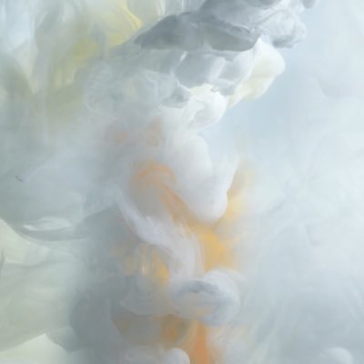 BarthelemyNoa's profile picture. 