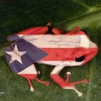 NoName๐๐ช๐บ๐บ๐ฆ ๐ป (@gelisemenendez) 's Twitter Profile Photo NoName๐๐ช๐บ๐บ๐ฆ ๐ป (@gelisemenendez) 's Twitter Profile Photo
