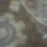 Kaled (@kaled98850260) 's Twitter Profile