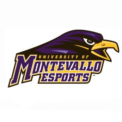 — Coach | Ethan Baggett | Teams | LoL, Smash, OW2, Rocket League & Valorant • #RiseAbove *Opinions do not reflect/represent @montevallo