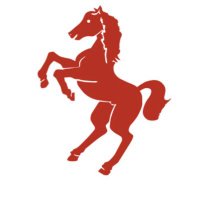 WildridingsPS (@wildridingsps) 's Twitter Profile