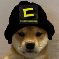 Migael ''CoBr4zZzZz'' de Kock (@cobr4zzzzz) 's Twitter Profile