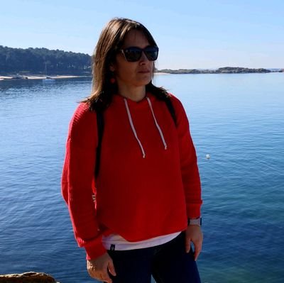 Aprendendo.Profesora de Tecnoloxía e TIC.
IES de Brión