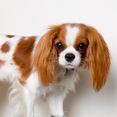 yumuklu_sumurta Profile Picture