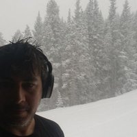 G$ (@gregothegrey) 's Twitter Profile