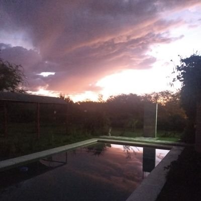 zedlen2003's profile picture. 