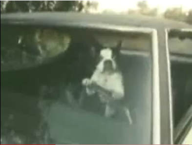 dougwickle's profile picture. computer geek extraordinaire