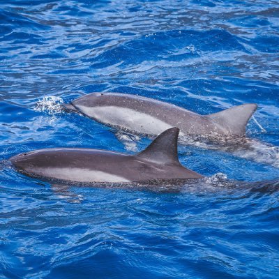 jrm898's profile picture. 