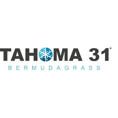 Tahoma 31 Bermudagrass is a winter-hardy, wear-tolerant and low water use grass for sports fields, golf courses & lawns in SE, Mid-Atlantic & Transition Zone.