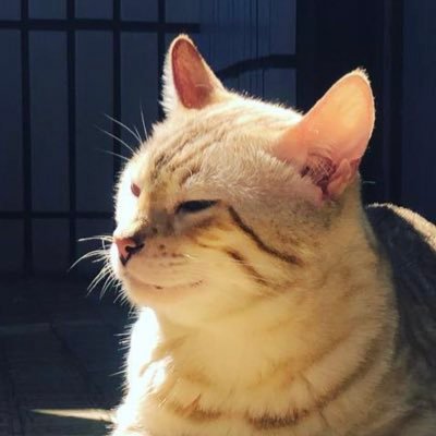 yughaur's profile picture. Love everything about Japan. Passion includes but not limited to Yoga, Marathon & performance.