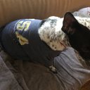 Tyler Lake - @TylerLa98030643 - Twitter