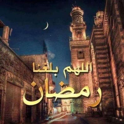 خادم القران الكريم